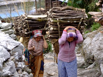 Women carrying firewood in Nepal Women carrying firewood in Nepal